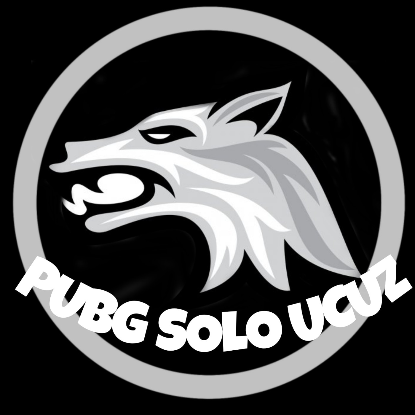 Pubgsolo